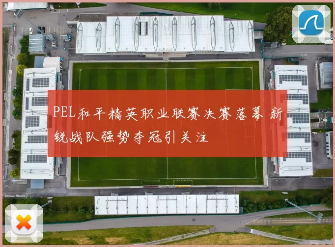 PEL和平精英职业联赛决赛落幕 新锐战队强势夺冠引关注