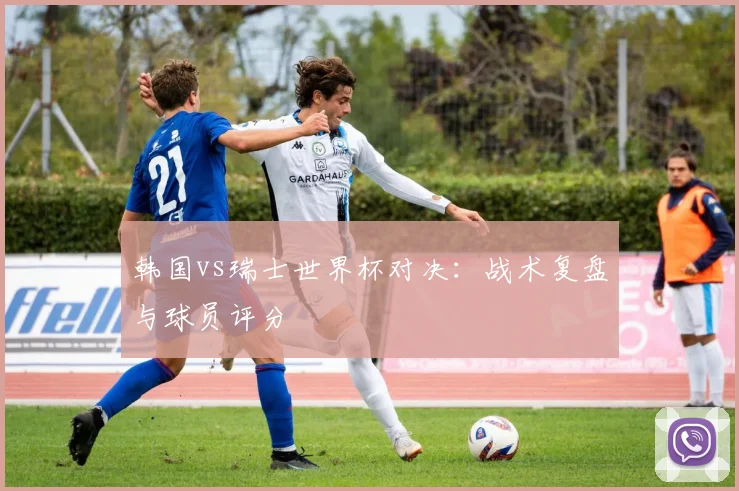 韩国vs瑞士世界杯对决：战术复盘与球员评分