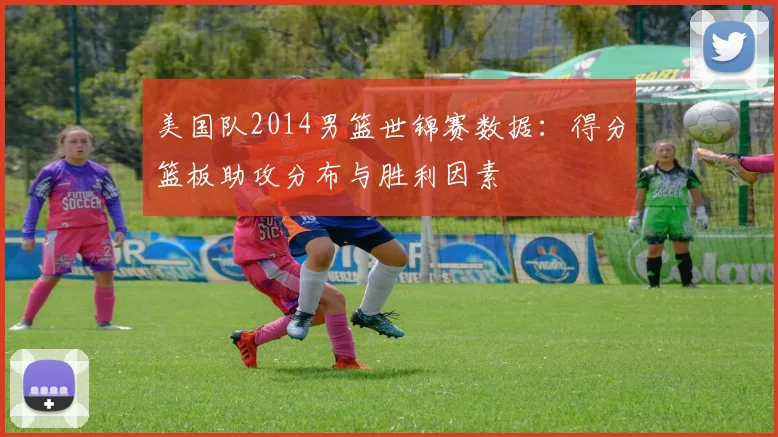 美国队2014男篮世锦赛数据：得分篮板助攻分布与胜利因素