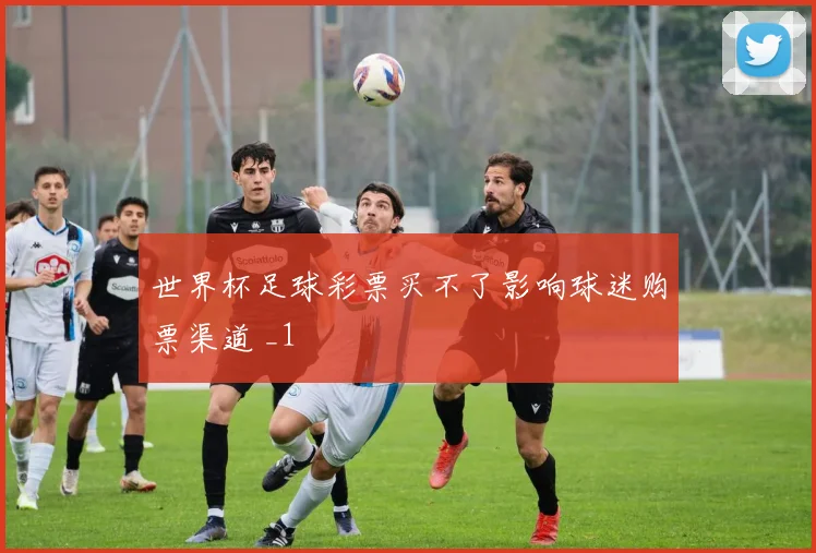 世界杯足球彩票买不了影响球迷购票渠道 _1