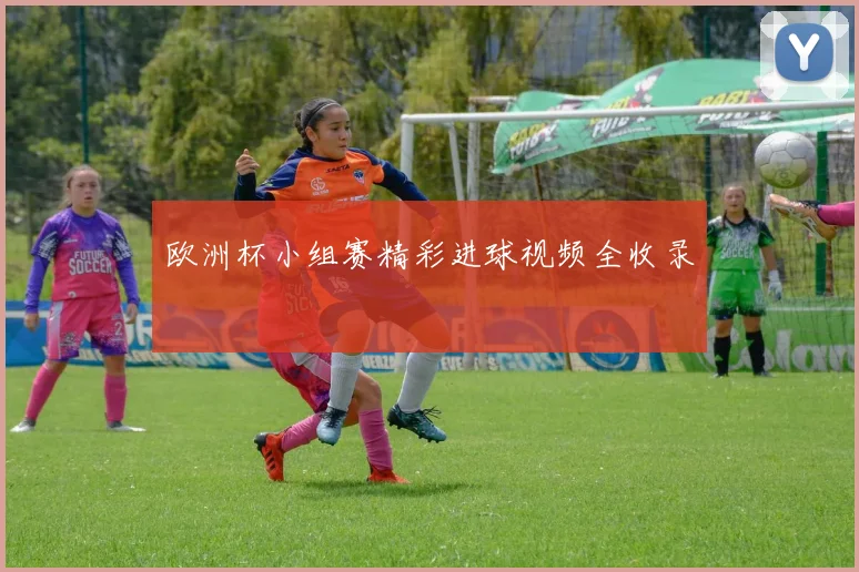 欧洲杯小组赛精彩进球视频全收录