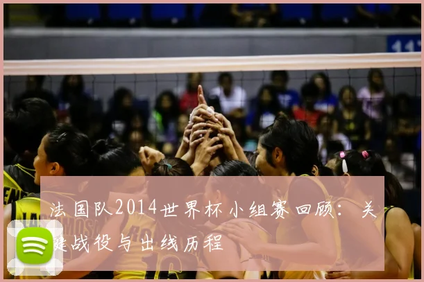 法国队2014世界杯小组赛回顾：关键战役与出线历程