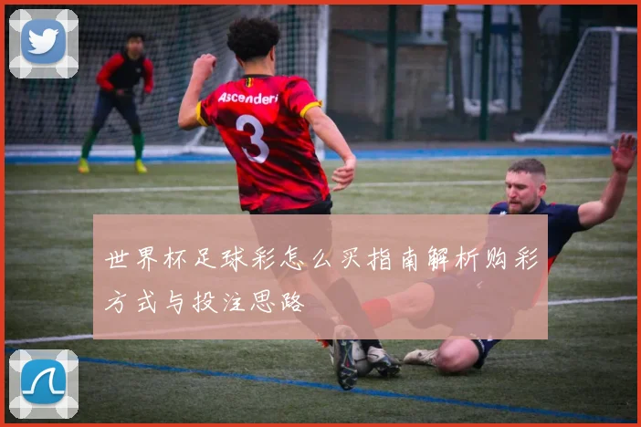 世界杯足球彩怎么买指南解析购彩方式与投注思路