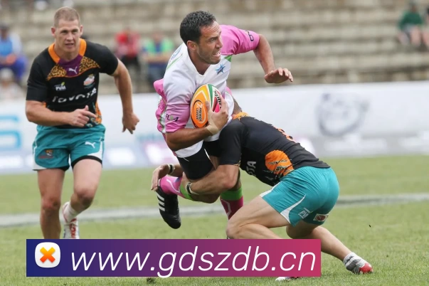 多媒体互动体验